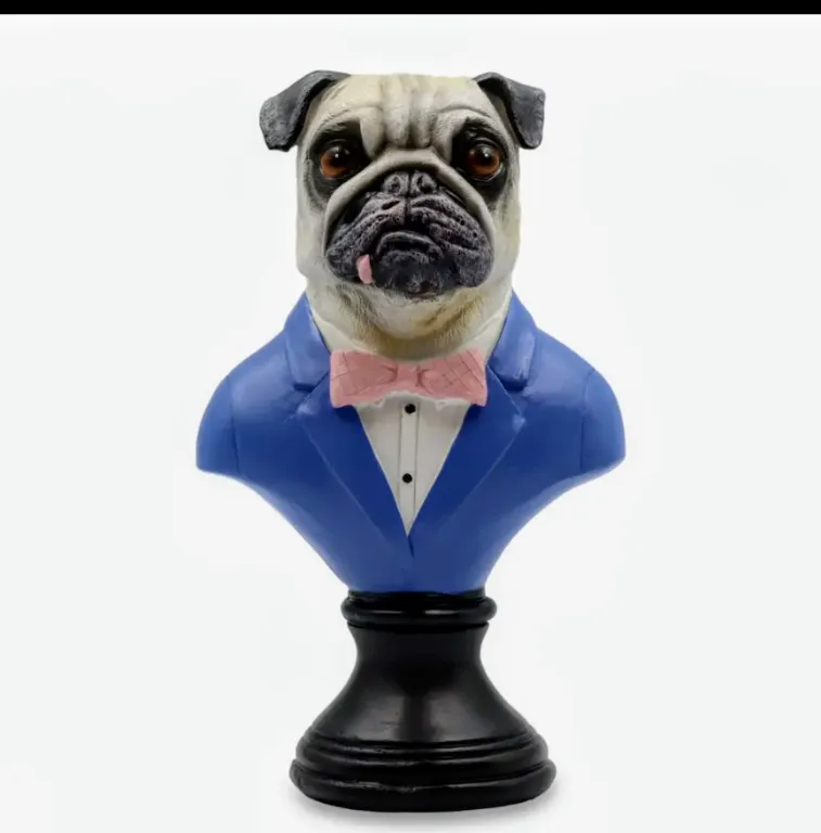Gentleman pug
